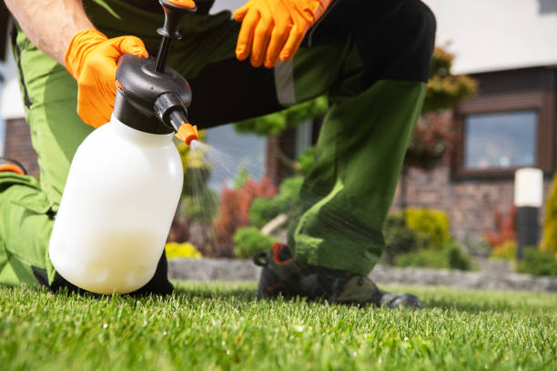 Best Insect Control  in Sawgrass, FL