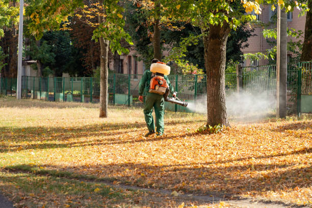 Reliable Sawgrass, FL Pest Control Solutions