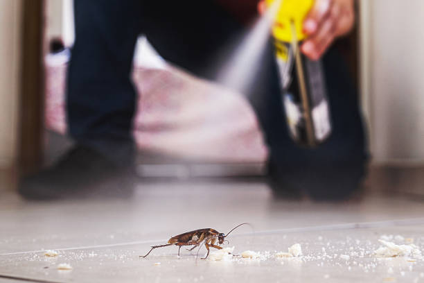 Best Mosquito Control Services  in Sawgrass, FL