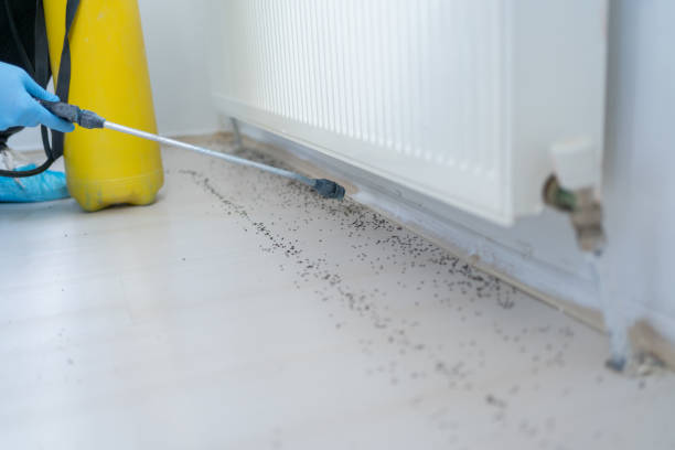 Pest Control Cost in Sawgrass, FL