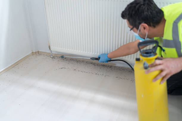 Best Pest Control Cost  in Sawgrass, FL