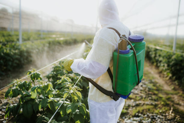 Best Exterminator Services  in Sawgrass, FL
